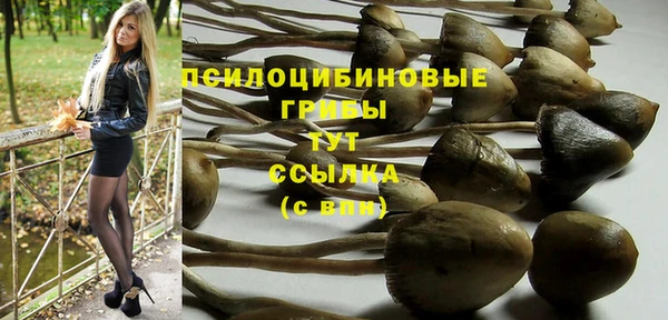 а пвп мука Нягань