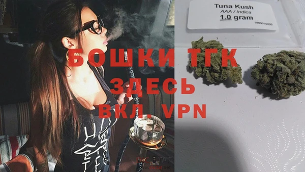 альфа пвп Няндома