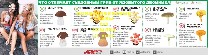 Псилоцибиновые грибы GOLDEN TEACHER  Апатиты 