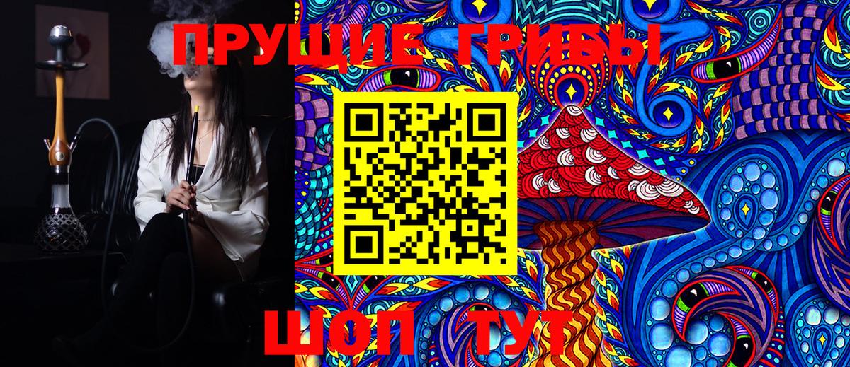 Псилоцибиновые грибы мицелий Апатиты