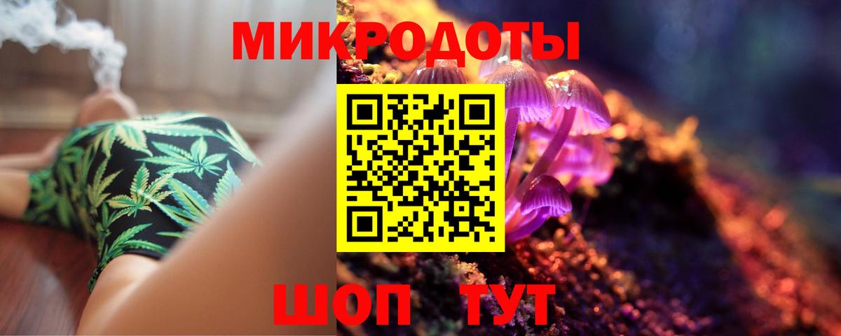 как найти   Апатиты  Псилоцибиновые грибы мицелий 