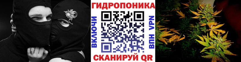 МЕГА ссылка  Апатиты  МАРИХУАНА OG Kush 